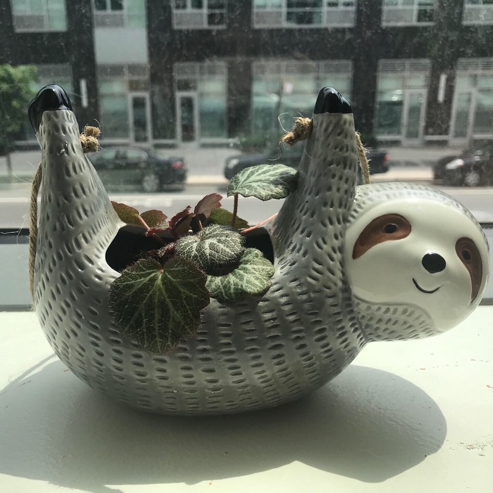 Meet your Posher, Tsien-tsien